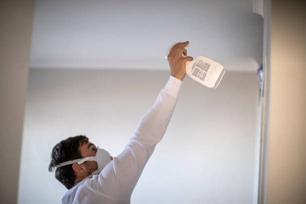 Best Professional Mold Removal  in Centerport, NY
